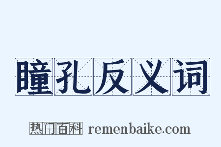 瞳孔反义词是什么意思的图片